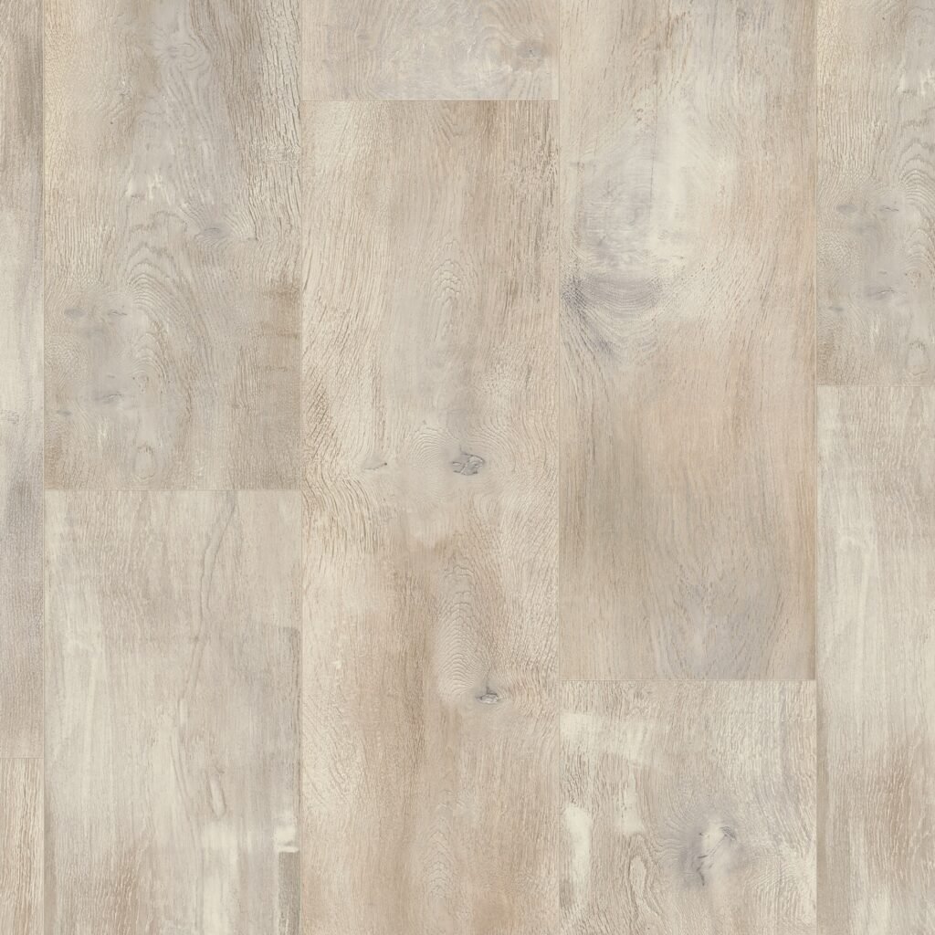 باركيه ايسنشلز 832