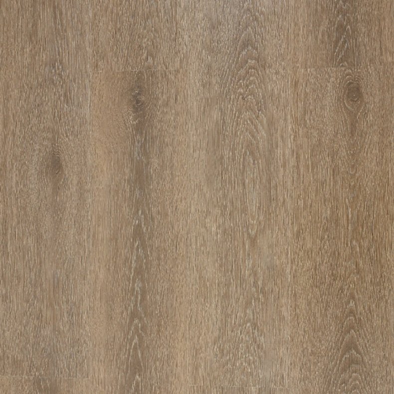 باركيه سيناتور
