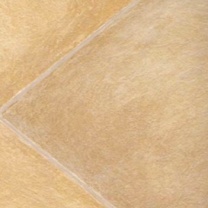 فينيل ايسنشلز 450 — 5203010