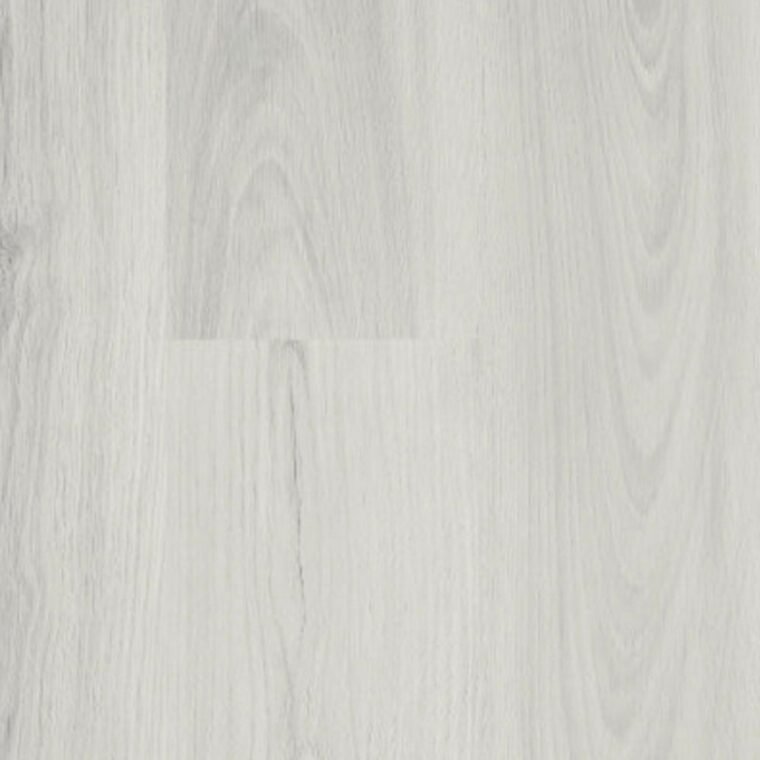 باركيه كلاسيك — 1505